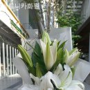 화원관광지 이미지