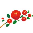 아리랜드 이미지