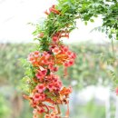 파워포인트(초급반) 이미지