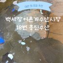 밧개회수산 | [태안 : 백사장어촌계 수산시장 '흥진수산'] 태안 찰광어 회 포장