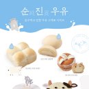 뚜레쥬르 이미지