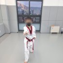 동아대이룸태권도장 이미지