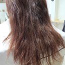 머리나라이야기미용실 | 도쿄 미용실에서 탄머리, 망한머리 복구하고 광명찾은 후기