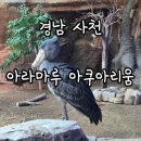 안경마루 | 경남 사천 아이와 당일치기여행 - 아라마루 아쿠아리움 3D상영관, 슈빌, 하마 생태설명회