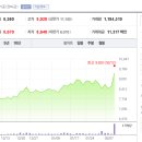 한라태양광발전소 이미지