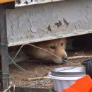 패밀리농장 이미지