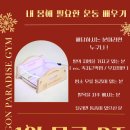 드래곤 파라다이스 짐 이미지