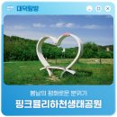 대전둘레산길(6구간) | 봄날의 평화로운 분위기 '핑크뮬리하천생태공원'