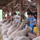 생태배움길 이미지