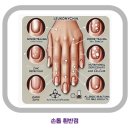 영양반점