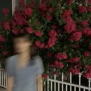 선우세탁소 이미지