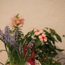 가드닝과 정원만들기 이미지