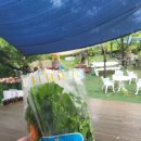 무룡농장 이미지