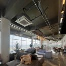 포항시남구8 | [포항#남구] MY 구룡포(마이 구룡포)_구룡포 해수욕장 근처 오션뷰 맛집 뷰 좋은 카페