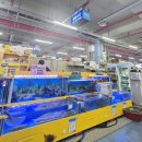 남해군 수협회센타횟집 | 영흥도 횟집 추천｜가성비 좋은 공룡수산 모듬회 포장 후기