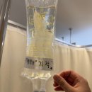 시온동물병원 | [출산기록] 2025. 12월 40주 4일차 초산 자연분만 후기/시온여성병원