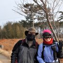 근흥초등학교 이미지