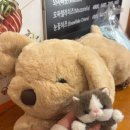 오렌즈 구월2호점 이미지