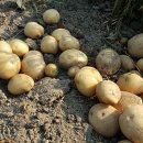 순재농장 이미지