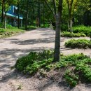 부산치유의숲 방문자센터 이미지