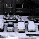 아침풍경 이미지