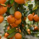 즉연농장 이미지