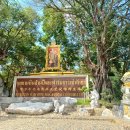 화석농장 이미지