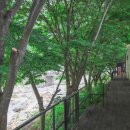 서림연가 이미지