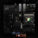 엣지퍼피 이미지