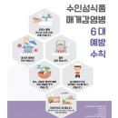 고양식품 이미지