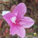 월악산힐링푸드영농조합 | 제천 덕산면 월악산 힐링푸드영농조합법인 대상 6차산업 혁신리더 양성교육으로 스마트폰을 활용한...
