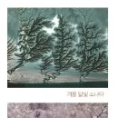 사계 돌담숲 이미지