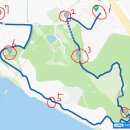 삼이국수 이미지