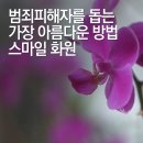 스마일화원 이미지