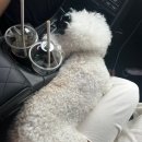 로맨틱큐브 B 이미지