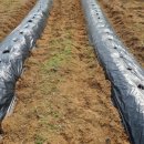 배순농장 이미지