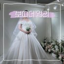 유로애견샵 | 보띠데일리 강서토탈샵 본식 드레스 피팅 후기