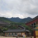 아름다운 산책 이미지