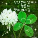 청정바람 이미지
