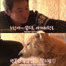 매수농장 | 가성비 경량패딩 찾는다면 ? 수아레 라이트 시어쉘 패딩 점퍼 추천 후기 (내돈내산, 남자 여자 착샷 유)