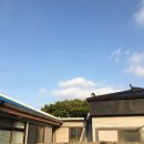 내도동 알작지왓 이미지