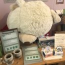 예지책방 이미지