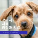(주)서울동물병원 이미지