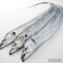 풍년마트 이미지