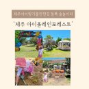 예숲 | 제주아이랑가볼만한곳 추천 아이올레인포레스트 할인 제주동쪽숲놀이터 후기
