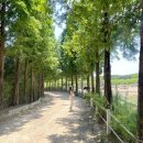 예산목장 이미지