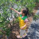 진안어린이집 이미지