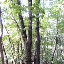 석룡산 (2)