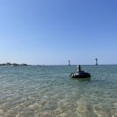 봉포 산들바람 | 고성 펜션 | 봉포 산들바람 펜션 봉포해수욕장 바로 앞 펜션! 내돈내산 솔직 후기