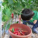 기훈농장 이미지